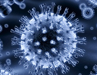 英语学习文章-HIV是什么？